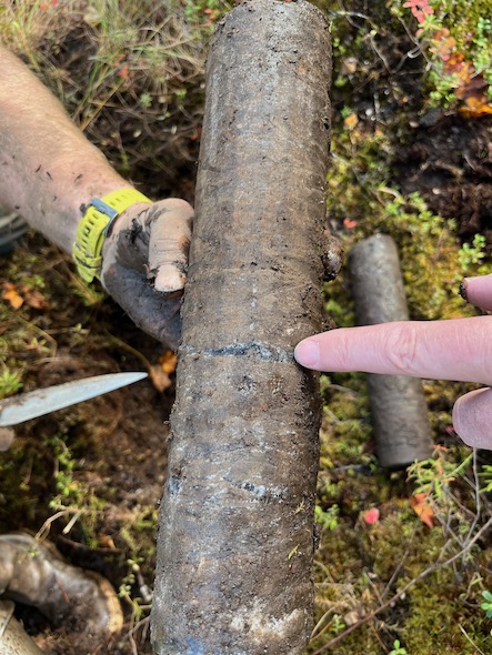 Permafrost soil core with ice lenses